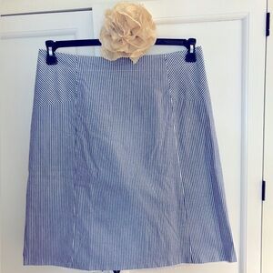 Talbots Blue Stripe Skirt 14W